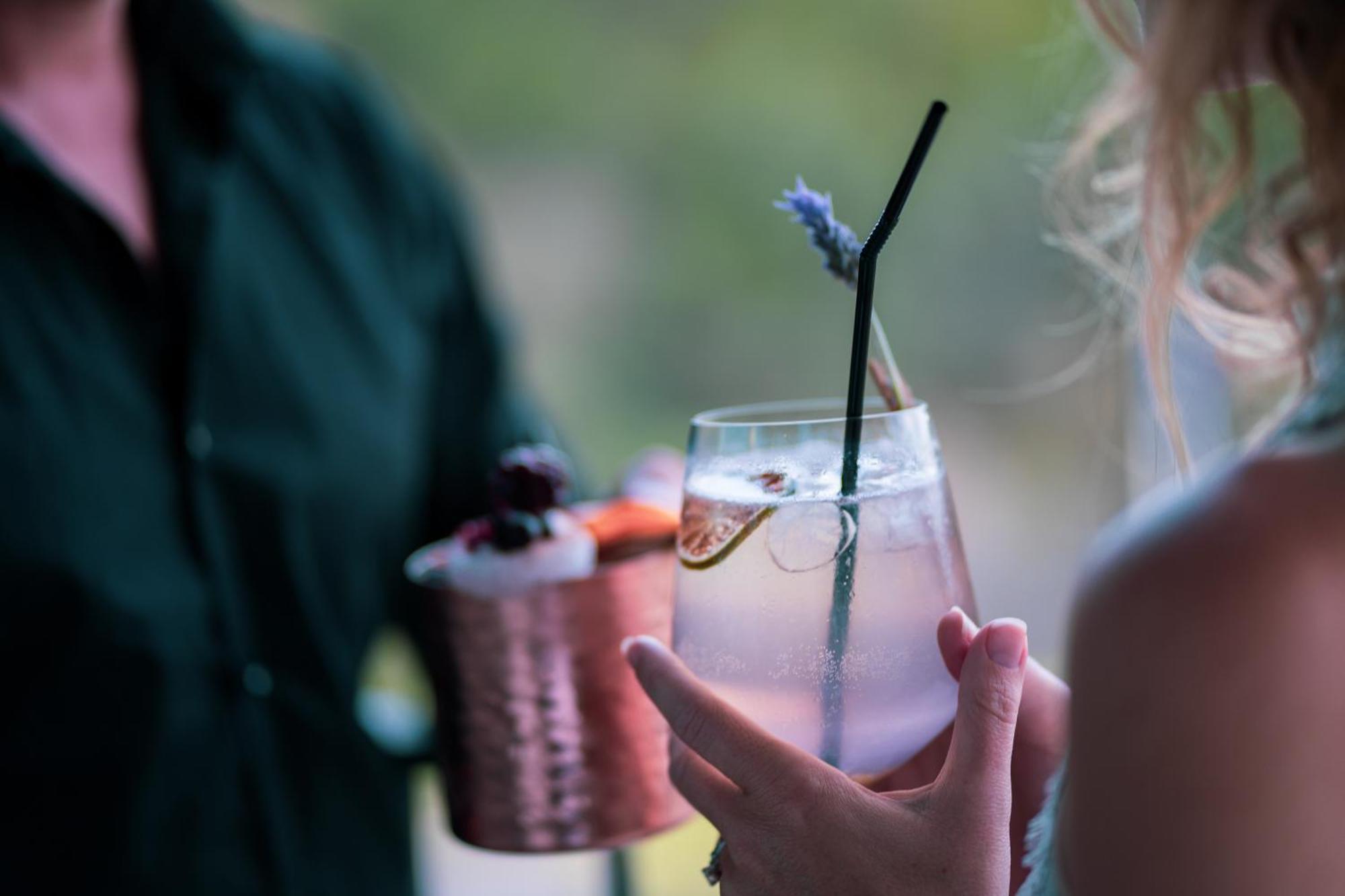 Monchique Resort & Spa Exterior foto A lavender cocktail